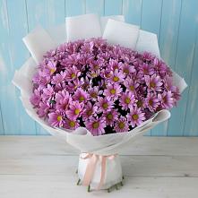 Букет цветов из:  Хризантемы в Голышманово