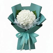 Букет цветов из:  Гортензия в Голышманово